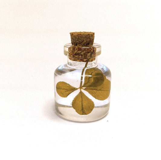 real small four leaf clover in a mini bottle