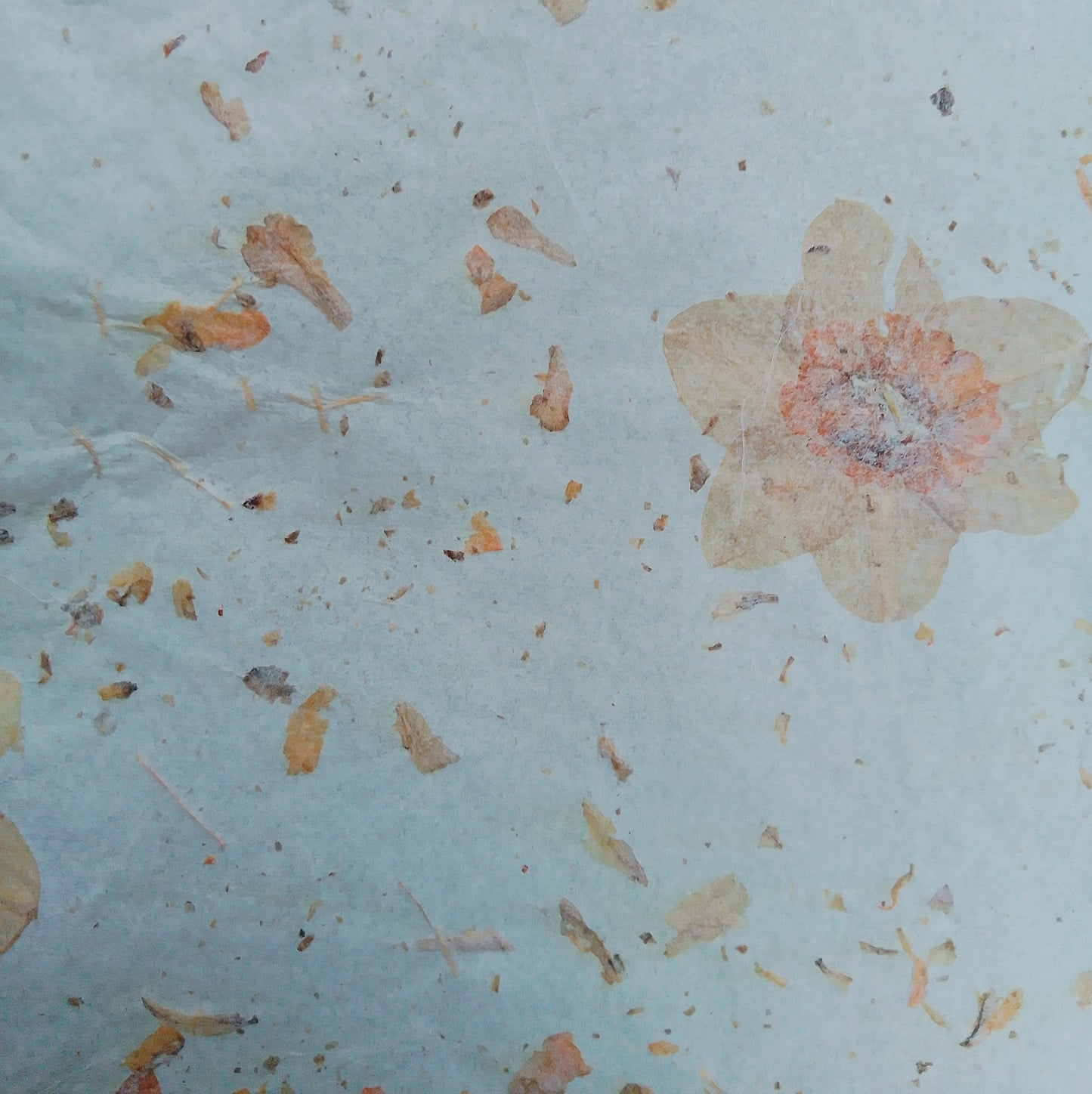 Handmade herbarium paper Botanical paper organic wraping scrapbooking papers
