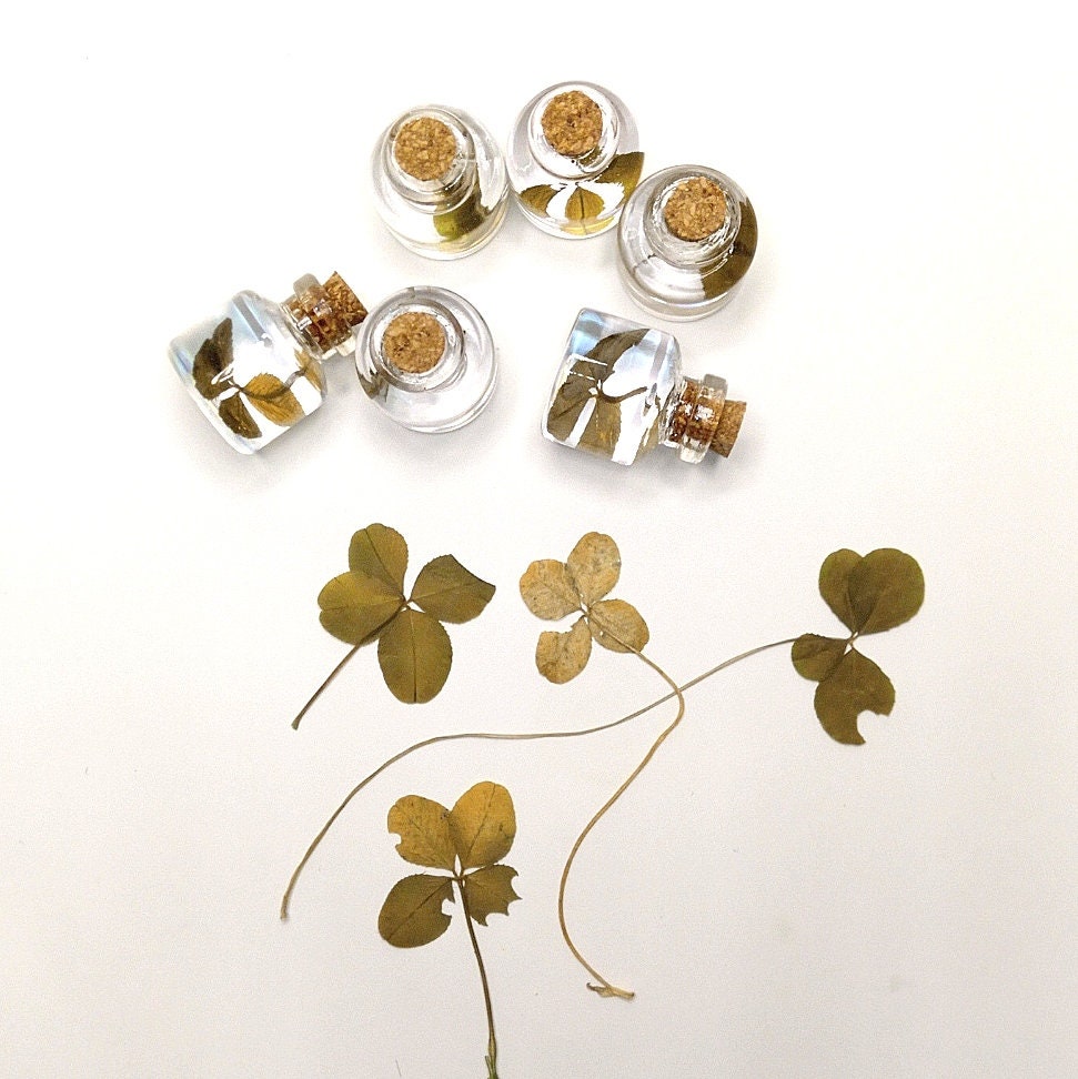 Real clover lucky charm good fortune gift for her gift for him genuine four leaf clover mini bottle St. Patricks day irish shamrock amulet