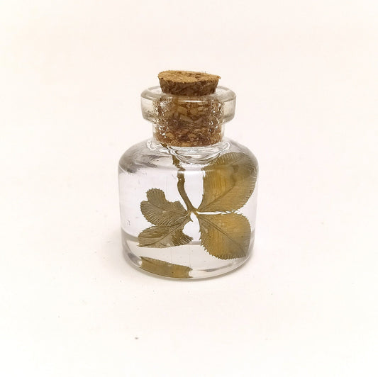 Real clover lucky charm good fortune gift for her gift for him genuine four leaf clover mini bottle St. Patricks day irish shamrock amulet