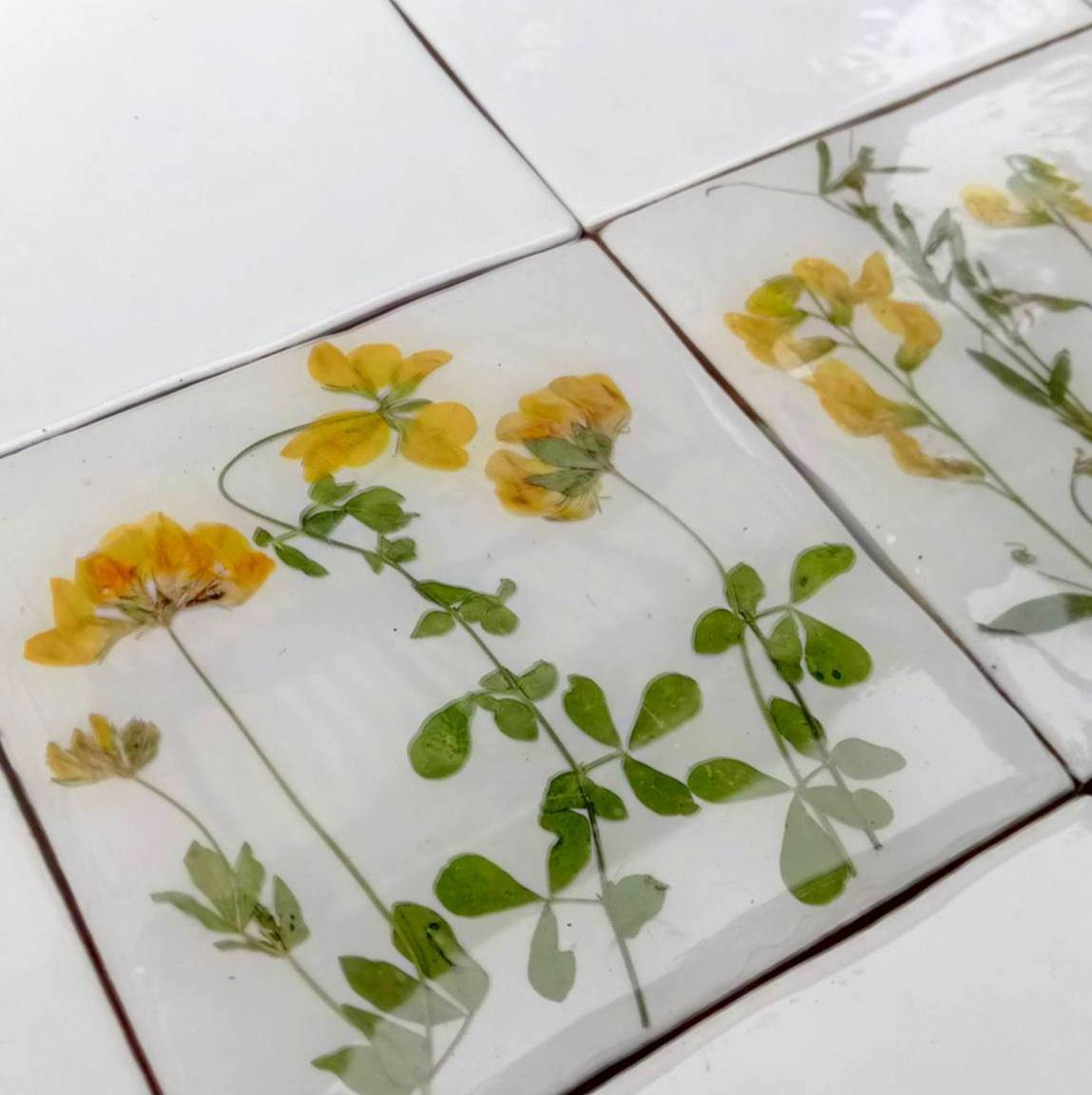 Carreaux d'herbier avec de vraies plantes sèches. Collection Spring Meadow, crédence de cuisine, carrelage de salle de bain, art mural, art naturel, carreaux de base en céramique.