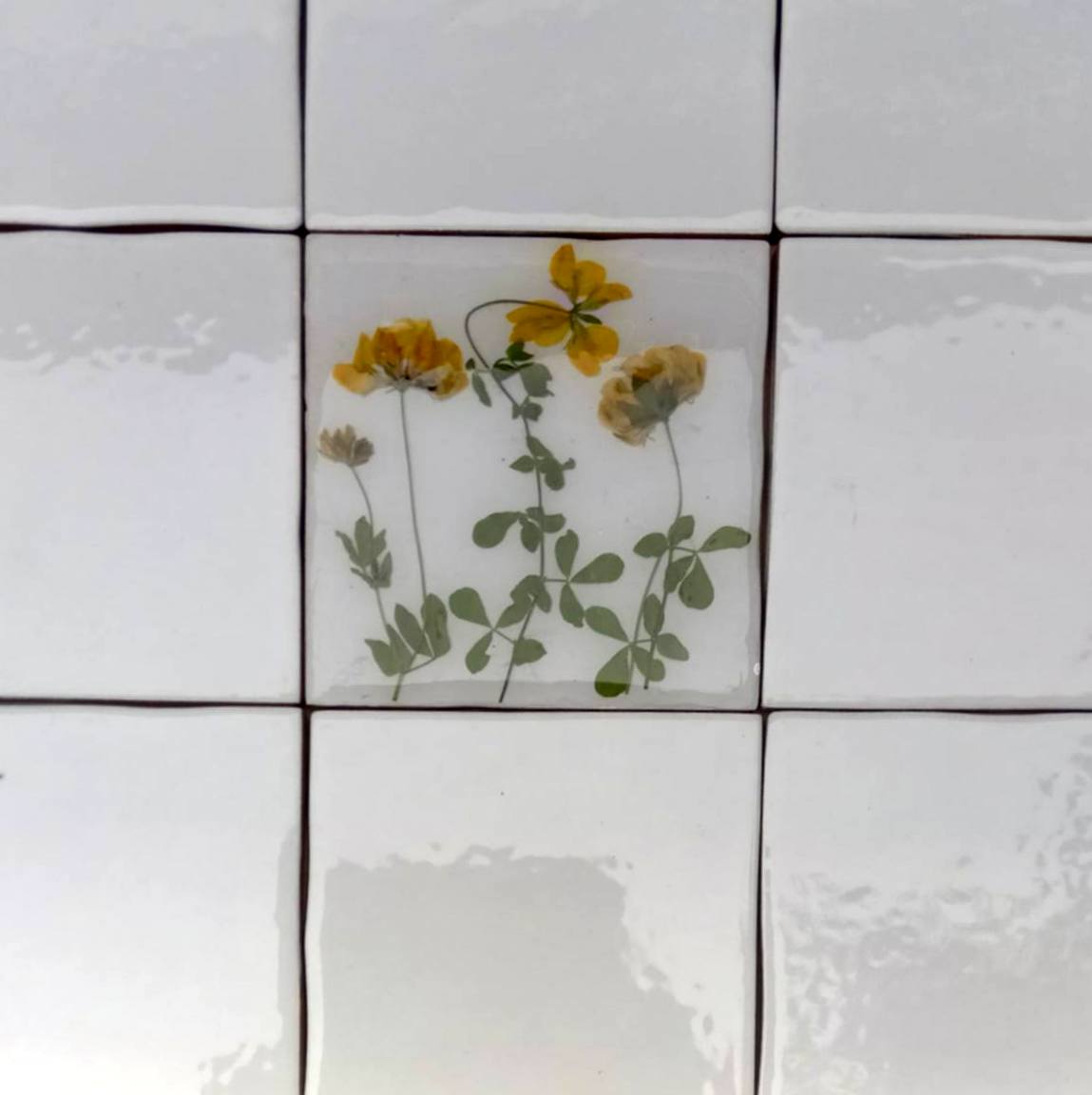Carreaux d'herbier avec de vraies plantes sèches. Collection Spring Meadow, crédence de cuisine, carrelage de salle de bain, art mural, art naturel, carreaux de base en céramique.
