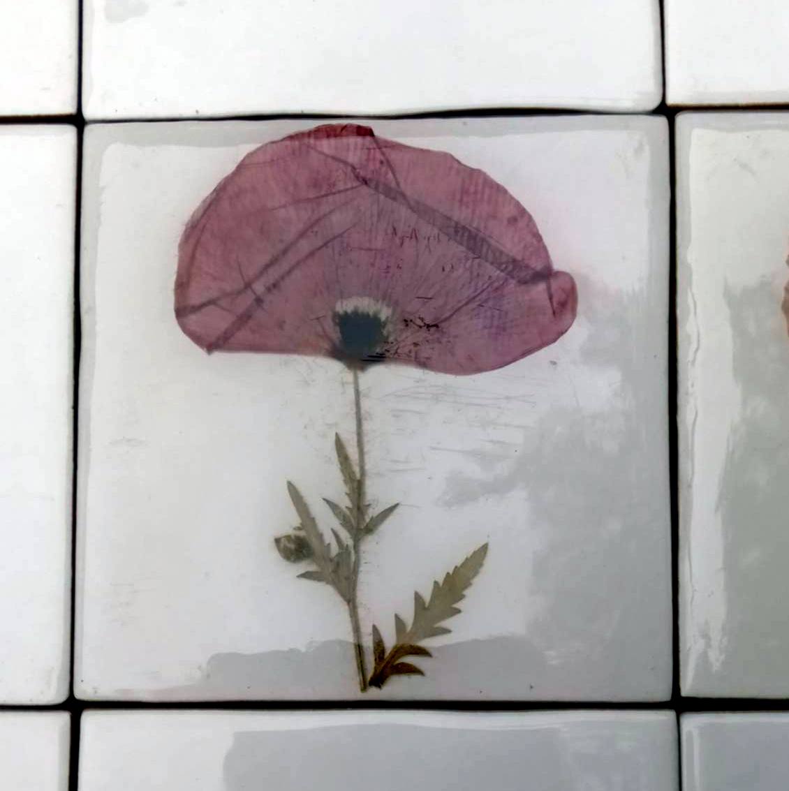 Carreaux d'herbier avec de vraies plantes sèches. Collection Spring Meadow, crédence de cuisine, carrelage de salle de bain, art mural, art naturel, carreaux de base en céramique.