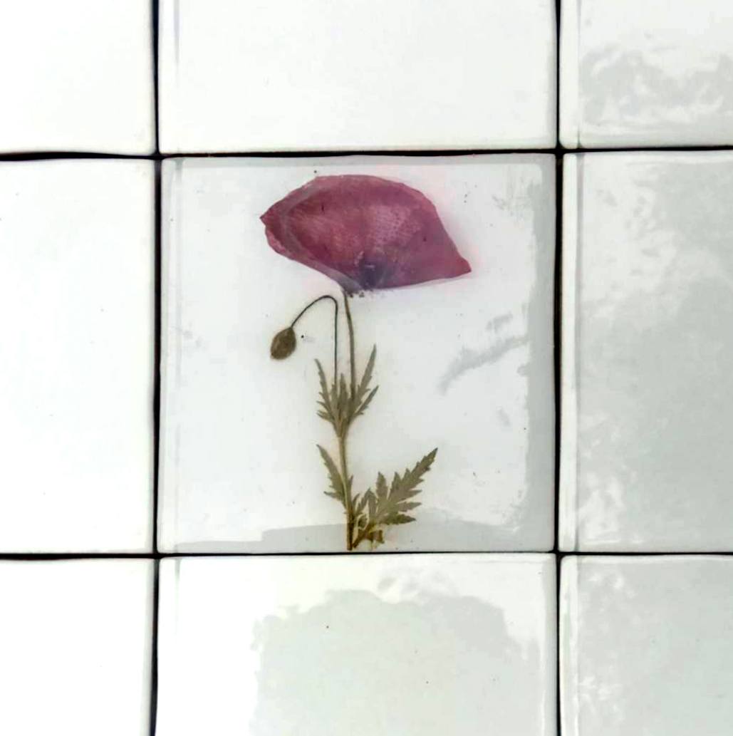 Carreaux d'herbier avec de vraies plantes sèches. Collection Spring Meadow, crédence de cuisine, carrelage de salle de bain, art mural, art naturel, carreaux de base en céramique.