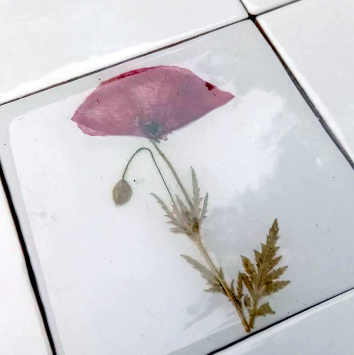 Carreaux d'herbier avec de vraies plantes sèches. Collection Spring Meadow, crédence de cuisine, carrelage de salle de bain, art mural, art naturel, carreaux de base en céramique.