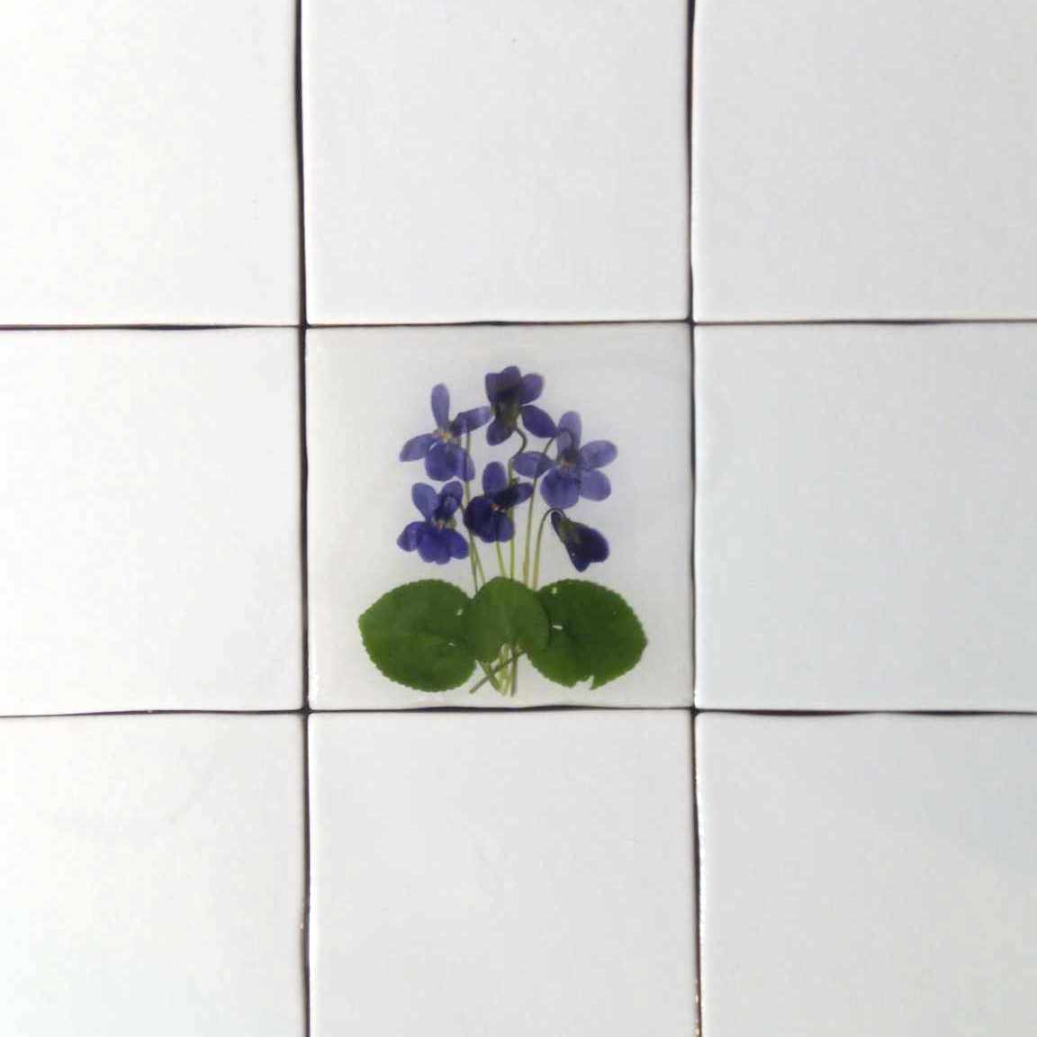 Herbarium-Fliesen mit echten Trockenpflanzen. Spring Meadow Kollektion, Küchenrückwand Badezimmerfliesen Wandkunst Neue Naturkunst Keramik-Grundfliesen