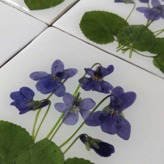 Herbarium-Fliesen mit echten Trockenpflanzen. Spring Meadow Kollektion, Küchenrückwand Badezimmerfliesen Wandkunst Neue Naturkunst Keramik-Grundfliesen