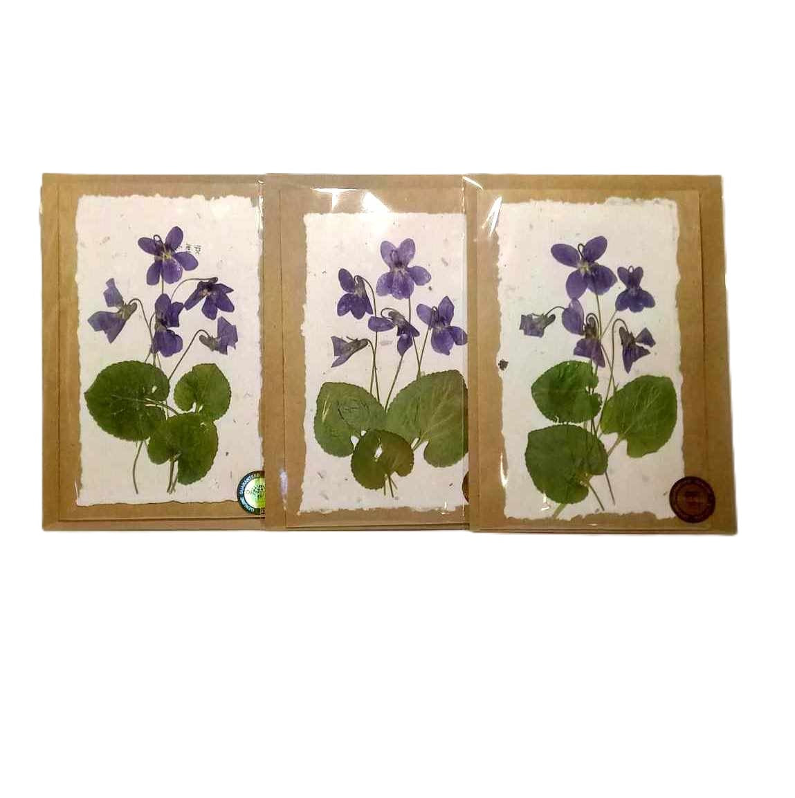 Dry Pressed Wild Flowers Botanical Card Handmade paper Herbarium Art with Envelope - Violets /natural