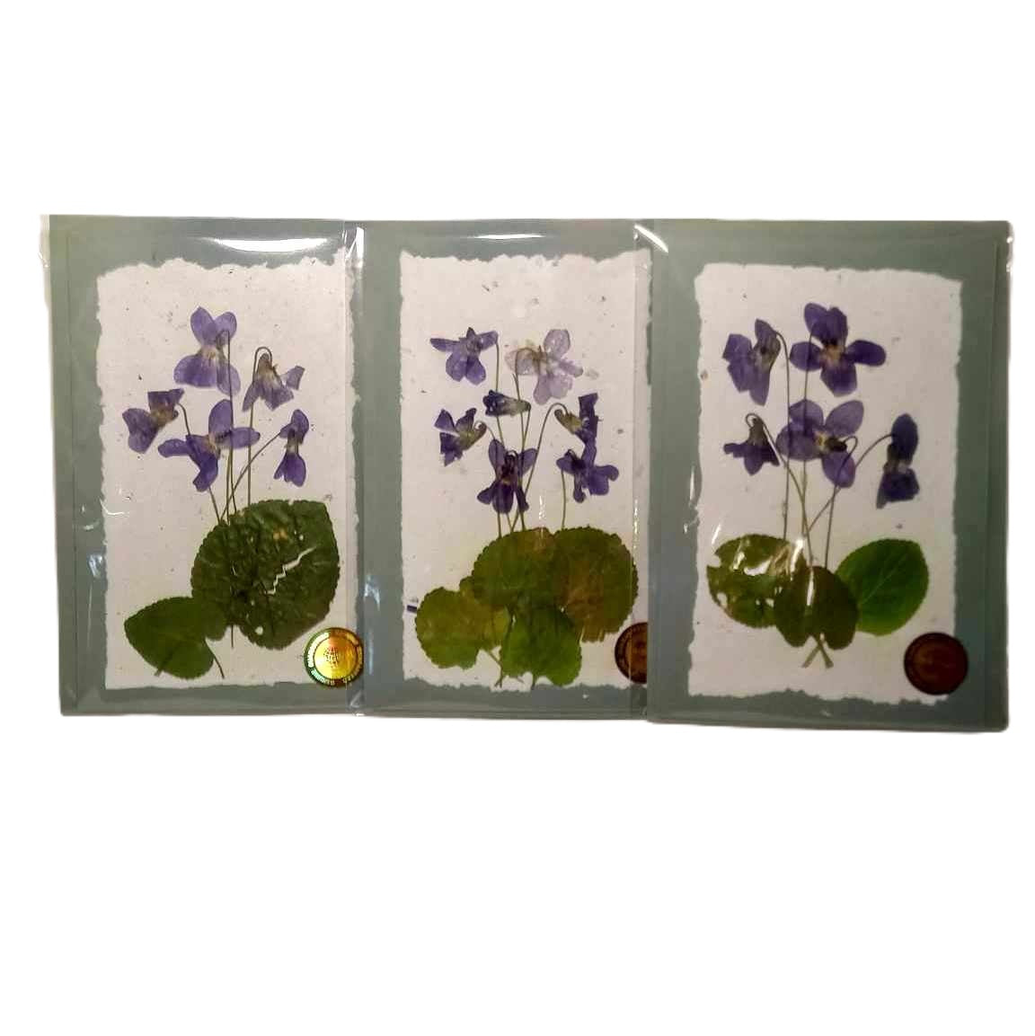 Dry Pressed Wild Flowers Botanical Card Handmade paper Herbarium Art with Envelope - Violets /green