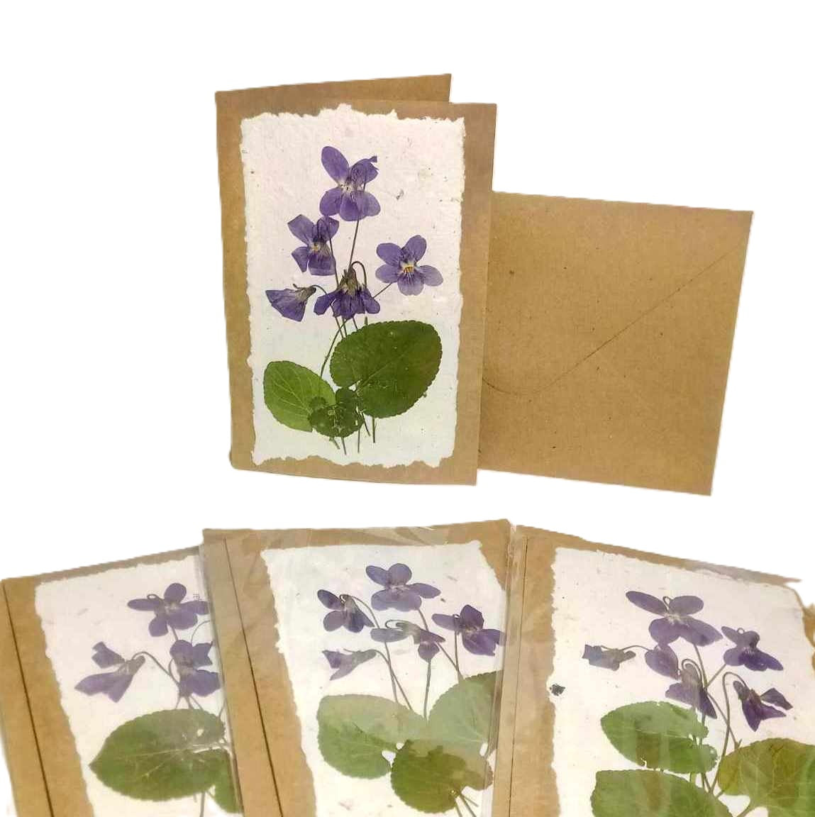 Dry Pressed Wild Flowers Botanical Card Handmade paper Herbarium Art with Envelope - Violets /natural