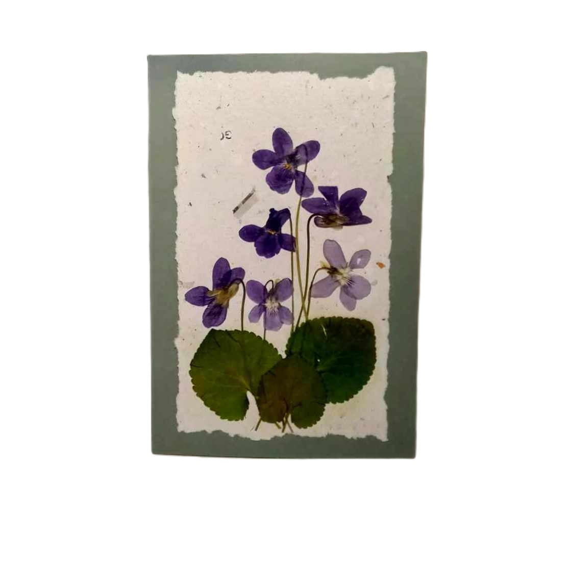 Dry Pressed Wild Flowers Botanical Card Handmade paper Herbarium Art with Envelope - Violets /green