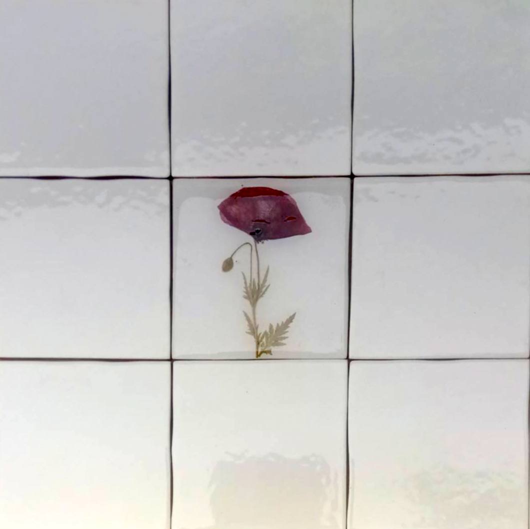 Carreaux d'herbier avec de vraies plantes sèches. Collection Spring Meadow, crédence de cuisine, carrelage de salle de bain, art mural, art naturel, carreaux de base en céramique.