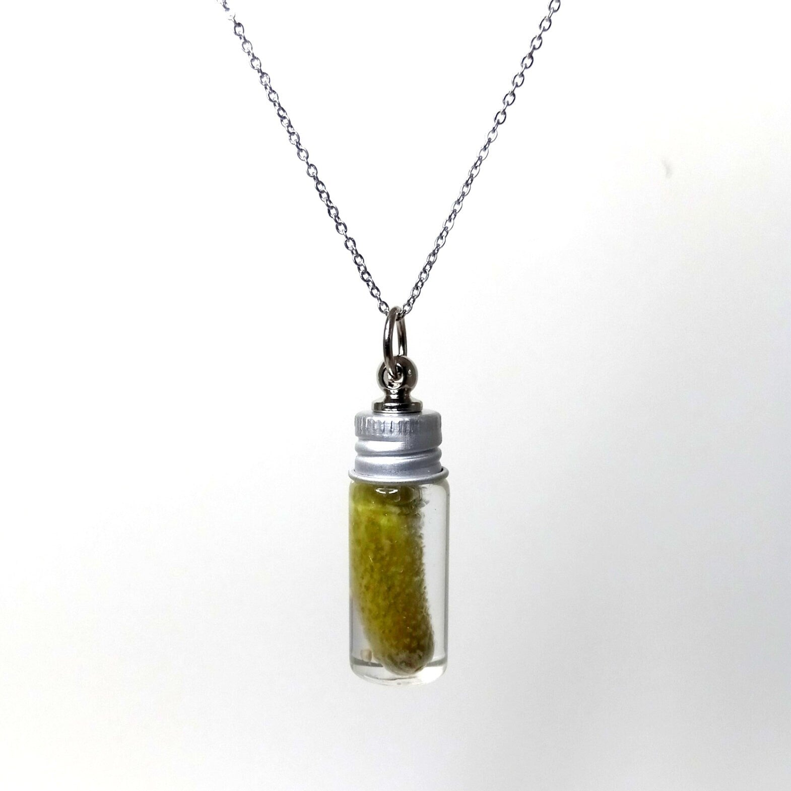 Mini jar with a pickle. Pendant plus necklace chain.