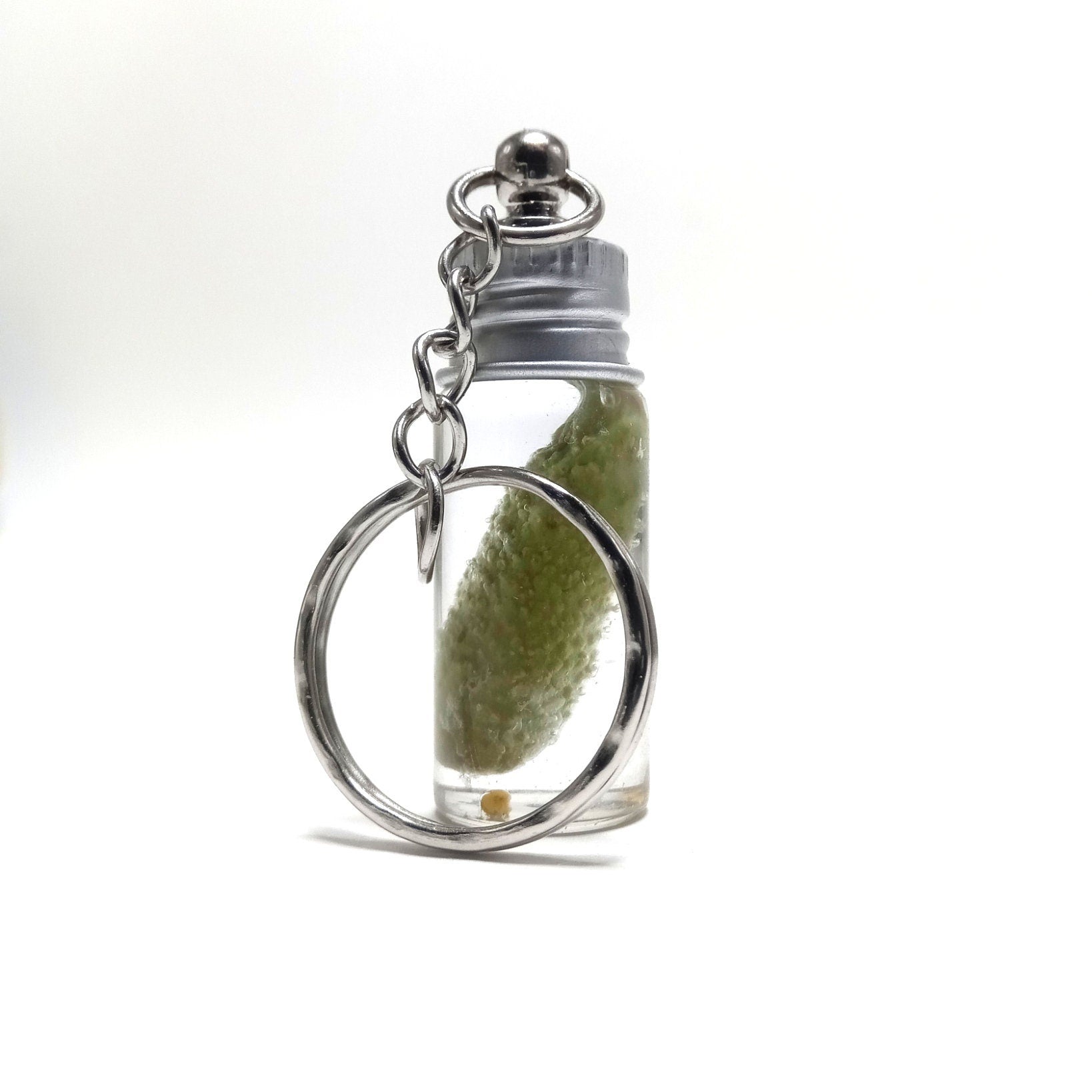 Mini jar with a pickle. Pendant plus keychain.