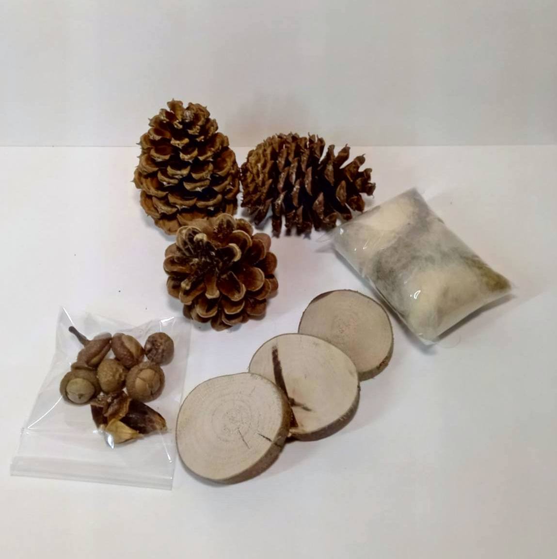 DIY Owl making kit