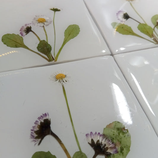 Carreaux d'herbier avec de vraies plantes sèches. Collection Spring Meadow, crédence de cuisine, carrelage de salle de bain, art mural, art naturel, carreaux de base en céramique.