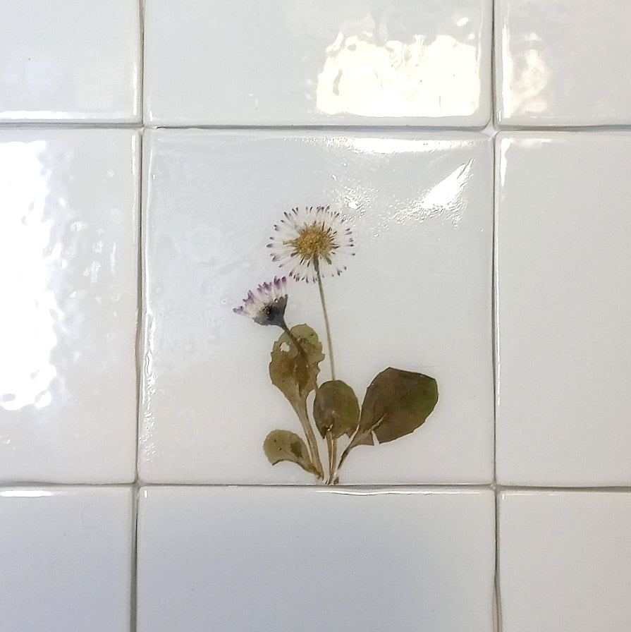 Carreaux d'herbier avec de vraies plantes sèches. Collection Spring Meadow, crédence de cuisine, carrelage de salle de bain, art mural, art naturel, carreaux de base en céramique.