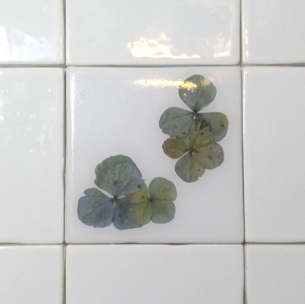 Carreaux d'herbier avec de vraies plantes sèches. Collection Spring Meadow, crédence de cuisine, carrelage de salle de bain, art mural, art naturel, carreaux de base en céramique.