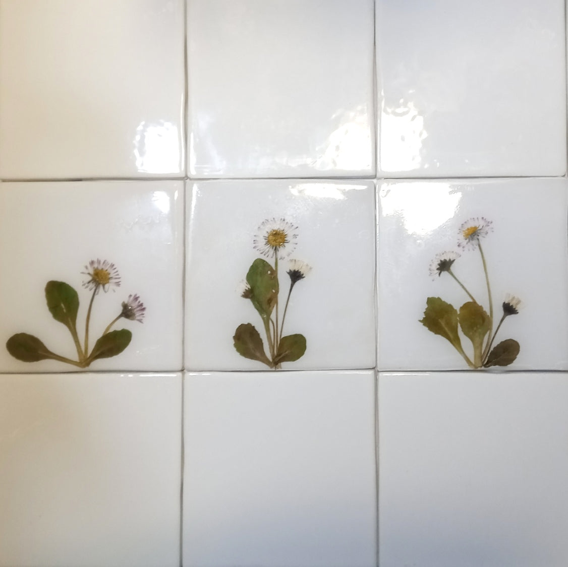Carreaux d'herbier avec de vraies plantes sèches. Collection Spring Meadow, crédence de cuisine, carrelage de salle de bain, art mural, art naturel, carreaux de base en céramique.