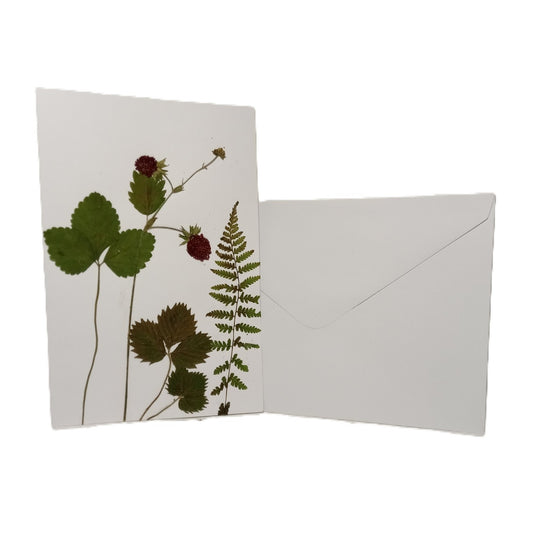 Herbarium greeting card Handmade botanical herbal pressed flower Forest strawberry eco kraft card set with envelope