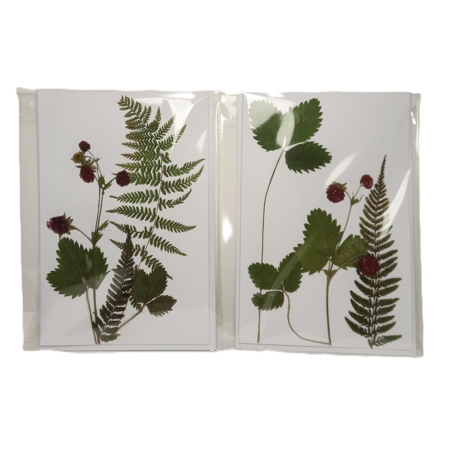 Herbarium greeting card Handmade botanical herbal pressed flower Forest strawberry eco kraft card set with envelope