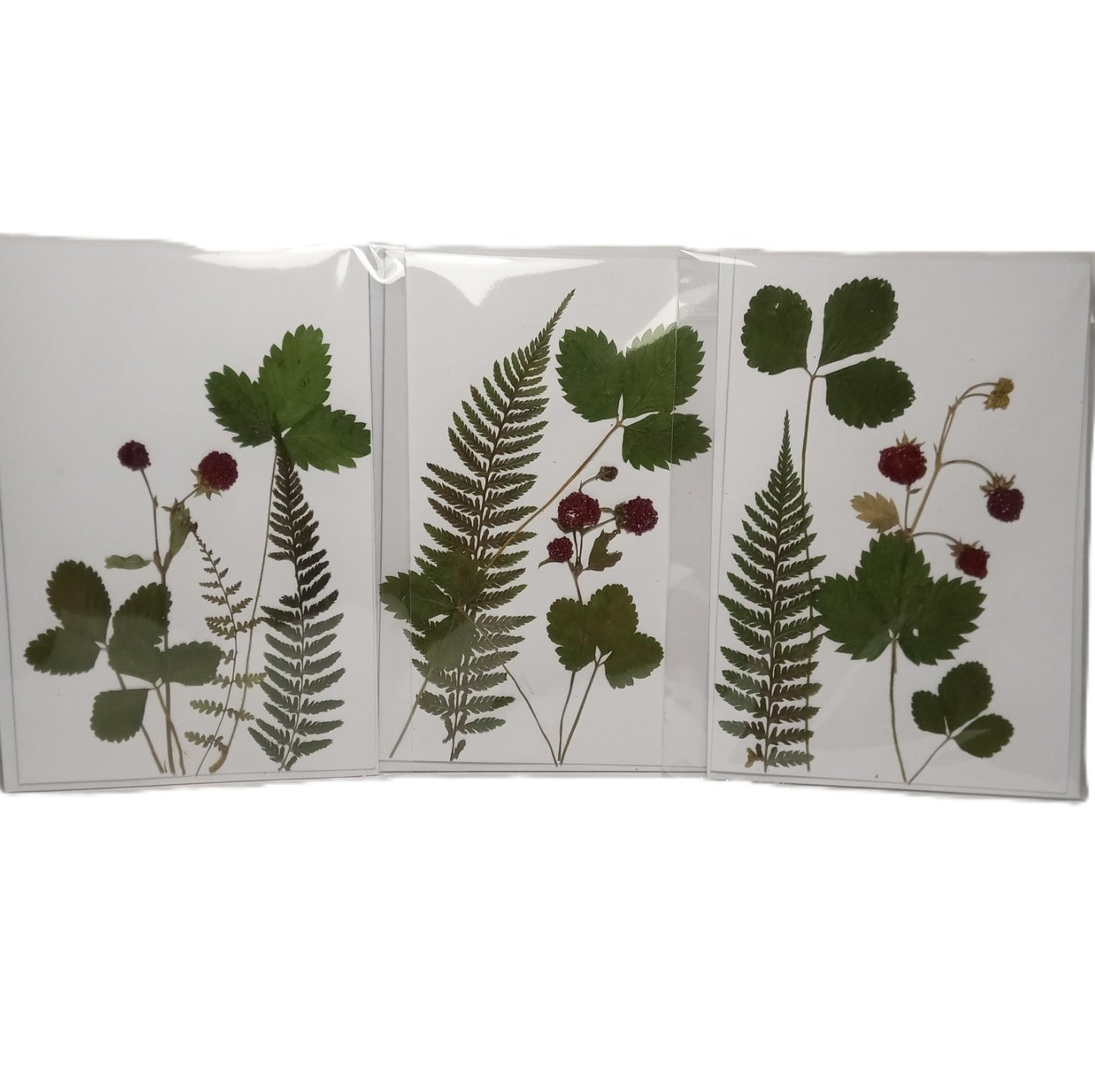 Herbarium greeting card Handmade botanical herbal pressed flower Forest strawberry eco kraft card set with envelope