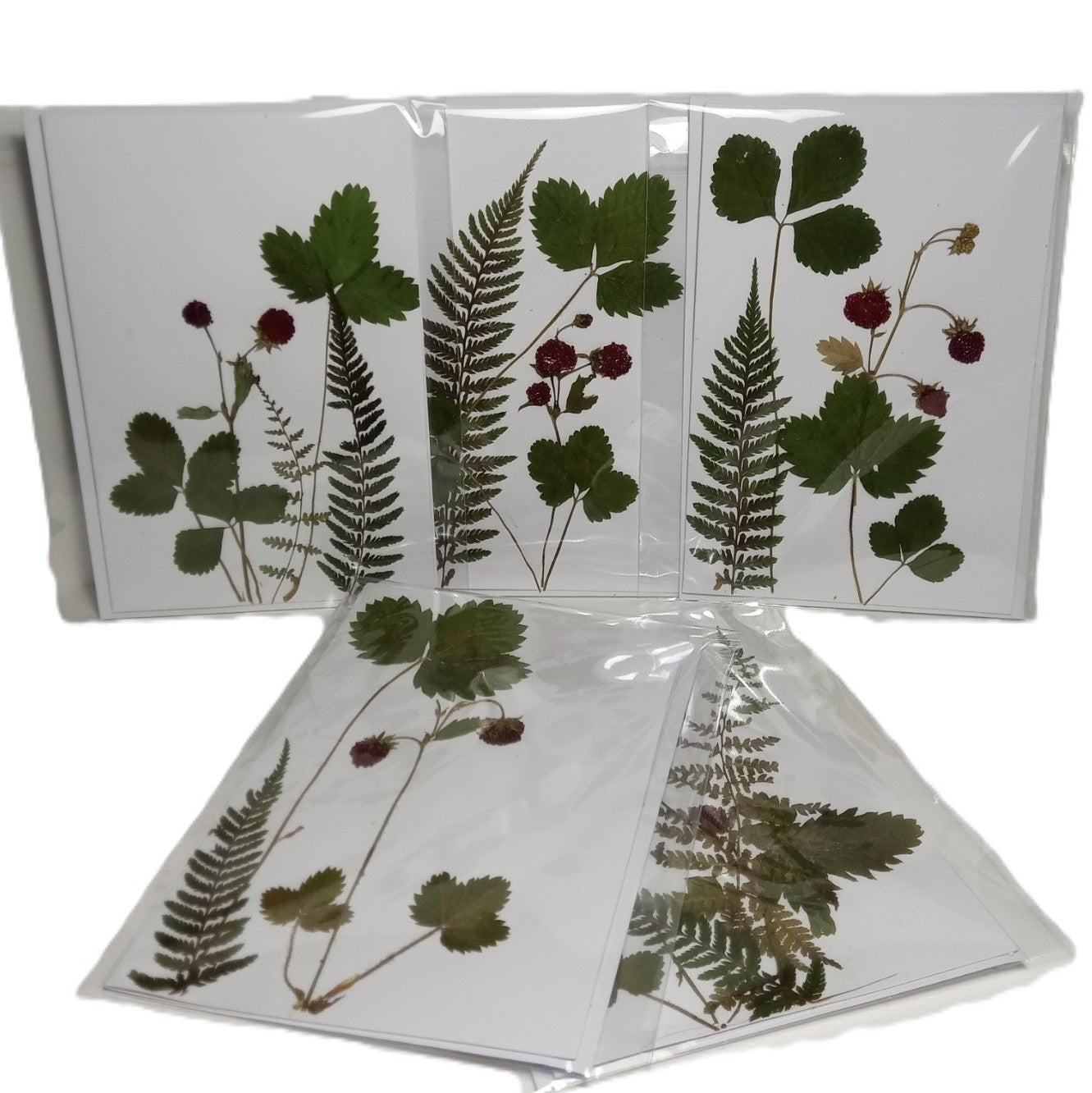 Herbarium greeting card Handmade botanical herbal pressed flower Forest strawberry eco kraft card set with envelope