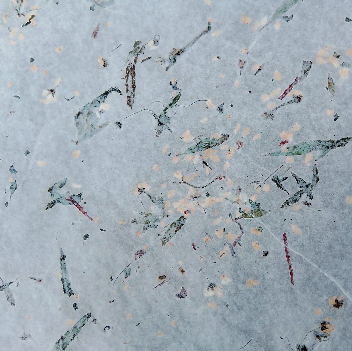 Handmade herbarium paper Botanical paper organic wraping scrapbooking papers