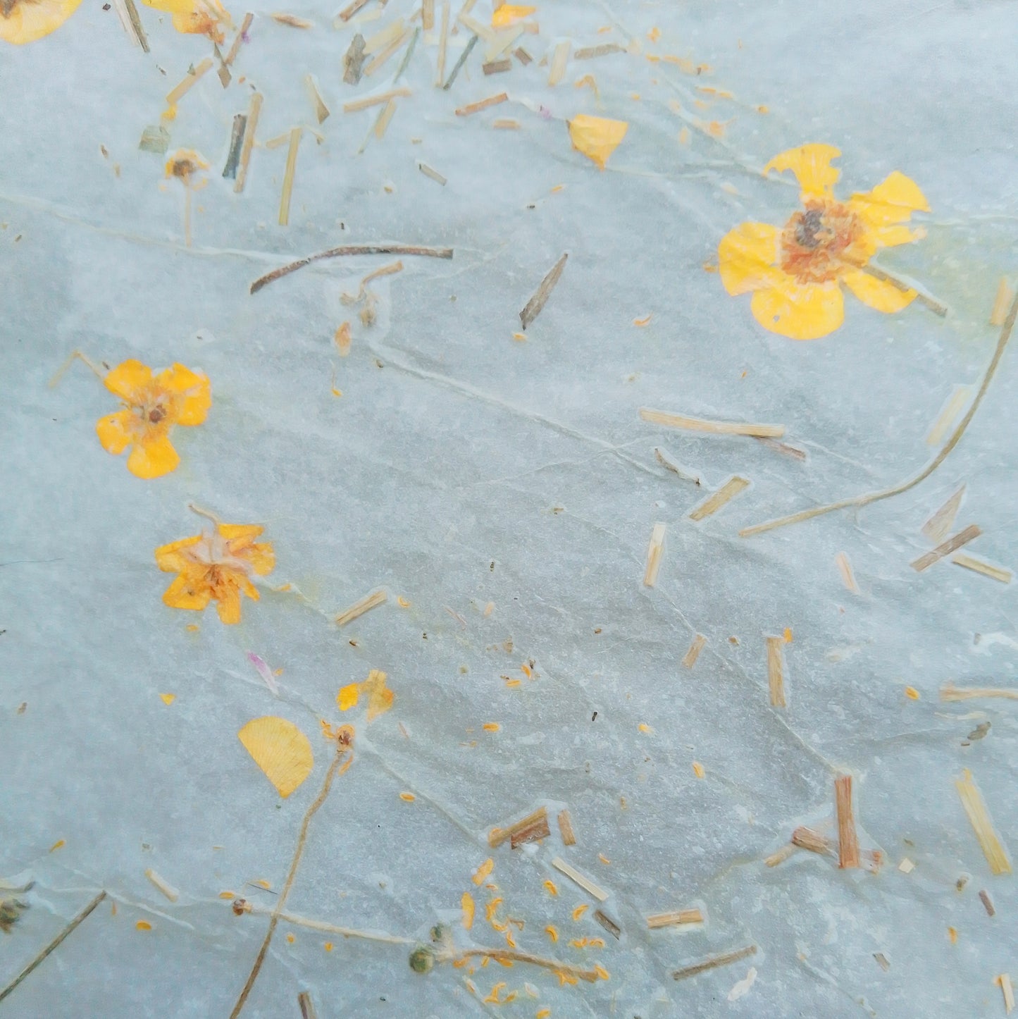 Handmade herbarium paper Botanical paper organic wraping scrapbooking papers