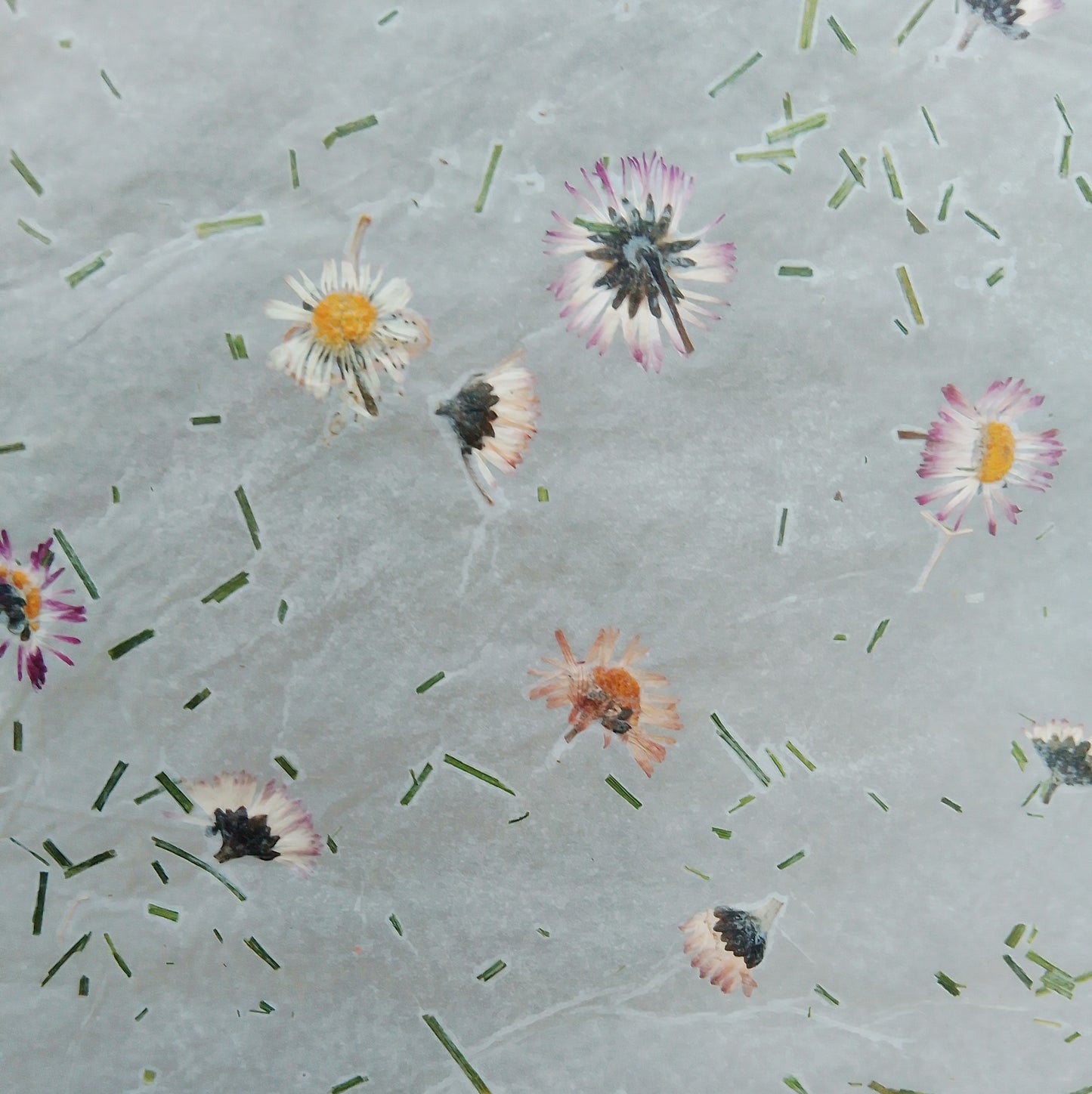 Handmade herbarium paper Botanical paper organic wraping scrapbooking papers