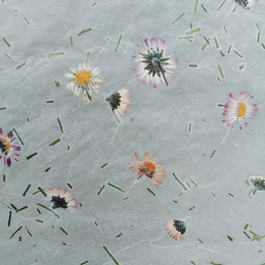 Handmade herbarium paper Botanical paper organic wraping scrapbooking papers 30x60