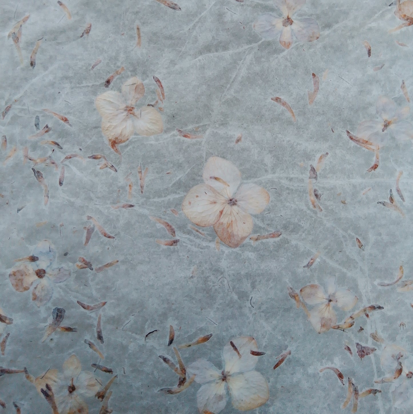 Handmade herbarium paper Botanical paper organic wraping scrapbooking papers