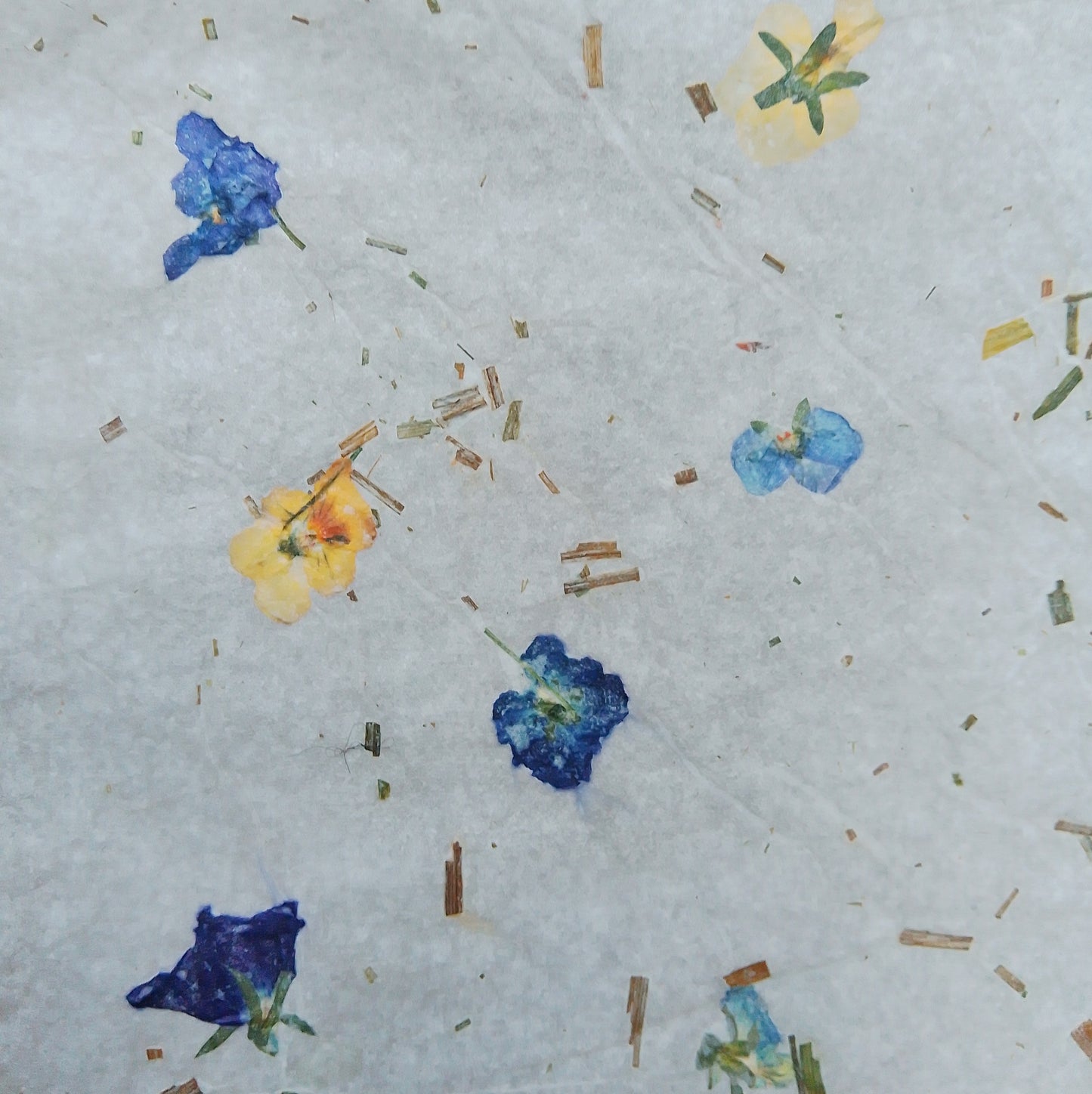 Handmade herbarium paper Botanical paper organic wraping scrapbooking papers