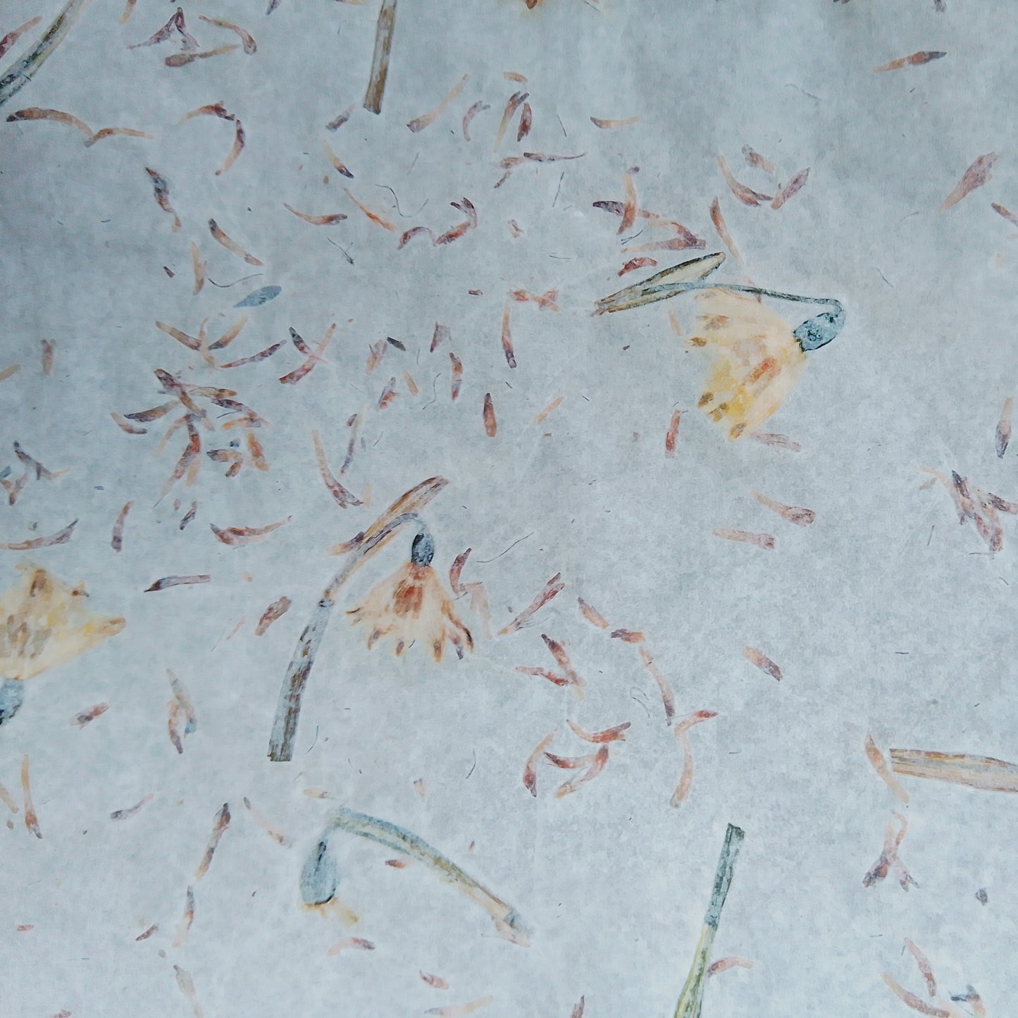 Handmade herbarium paper Botanical paper organic wraping scrapbooking papers