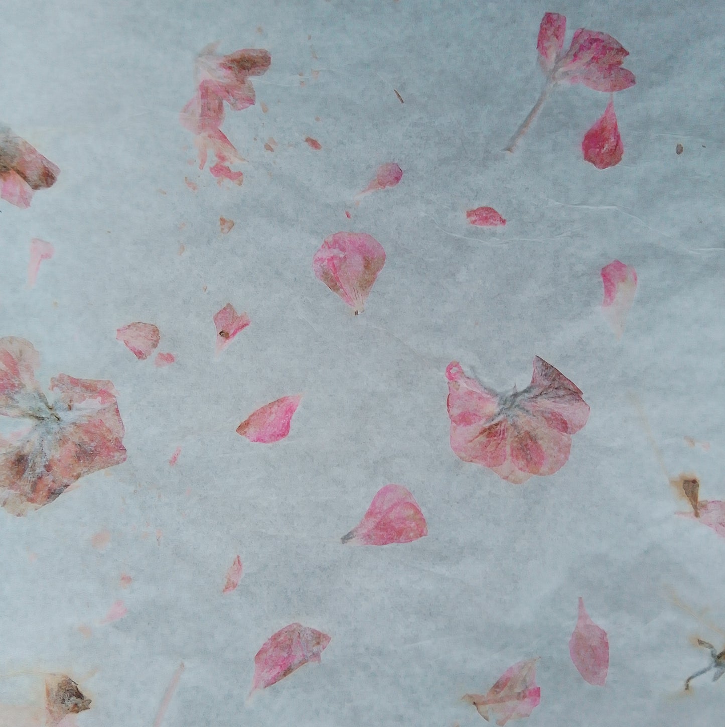 Handmade herbarium paper Botanical paper organic wraping scrapbooking papers