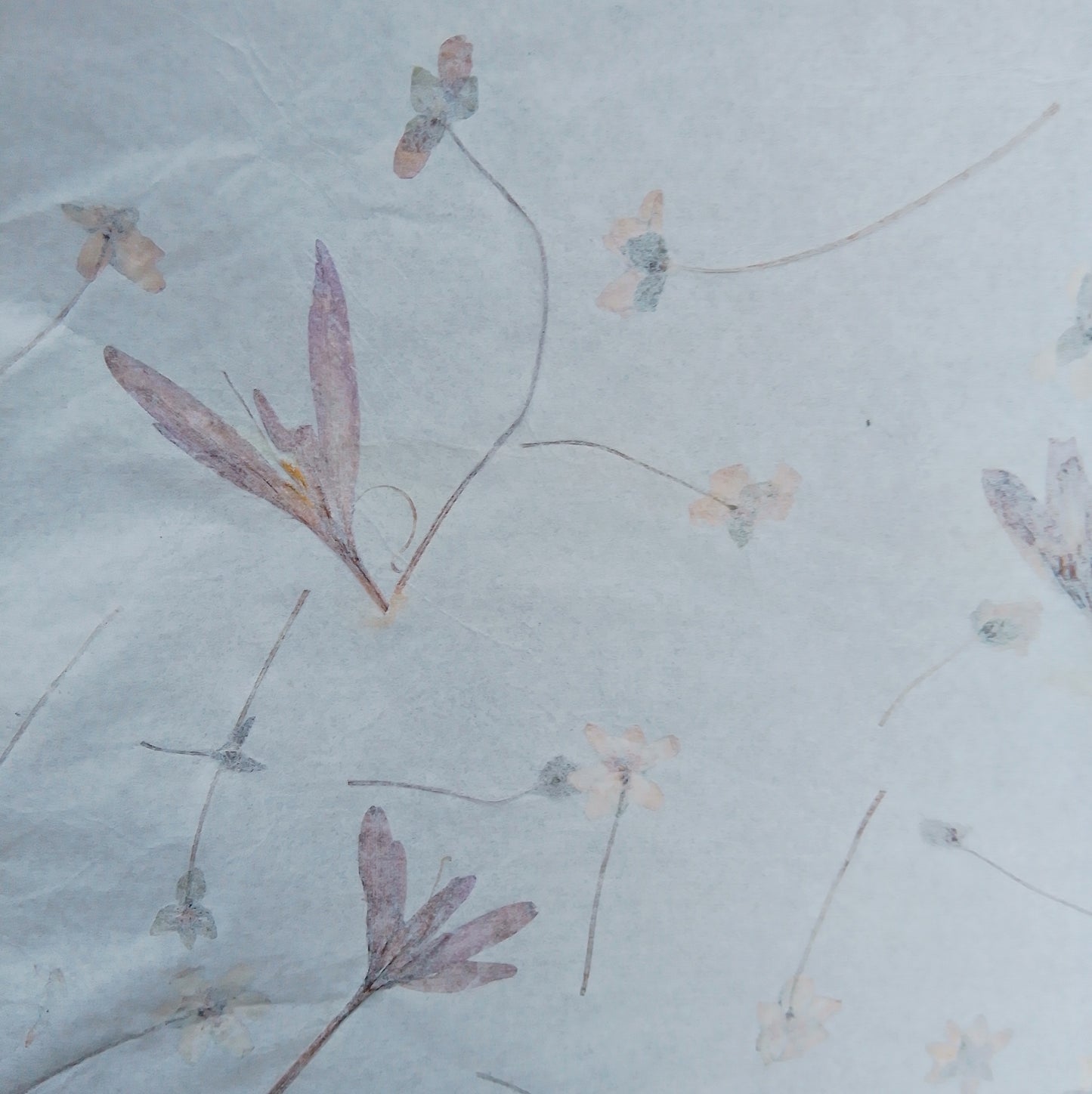 Handmade herbarium paper Botanical paper organic wraping scrapbooking papers