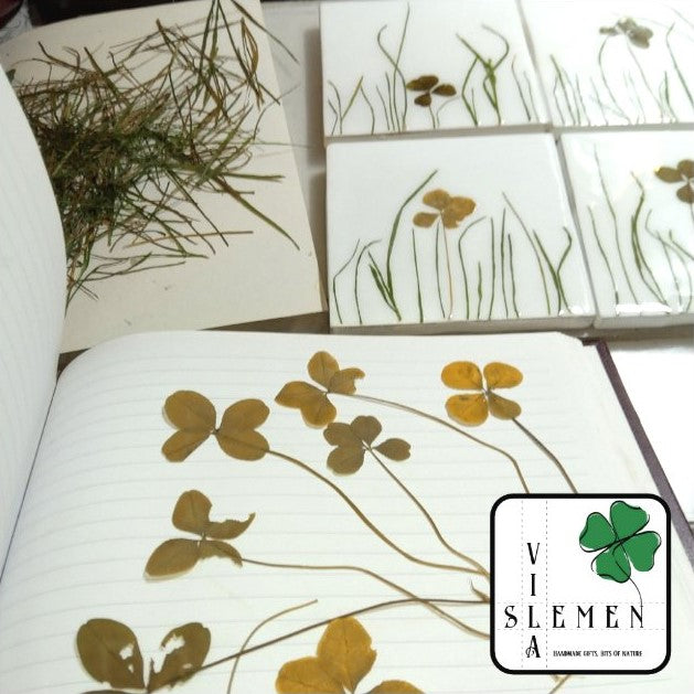 Herbarium-Fliesen mit echten Trockenpflanzen. Spring Meadow Kollektion, Küchenrückwand Badezimmerfliesen Wandkunst Neue Naturkunst Keramik-Grundfliesen