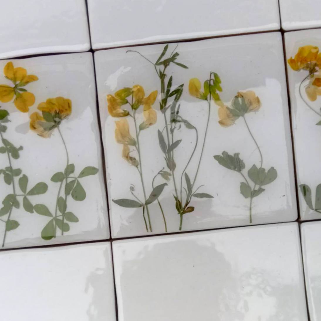 Carreaux d'herbier avec de vraies plantes sèches. Collection Spring Meadow, crédence de cuisine, carrelage de salle de bain, art mural, art naturel, carreaux de base en céramique.