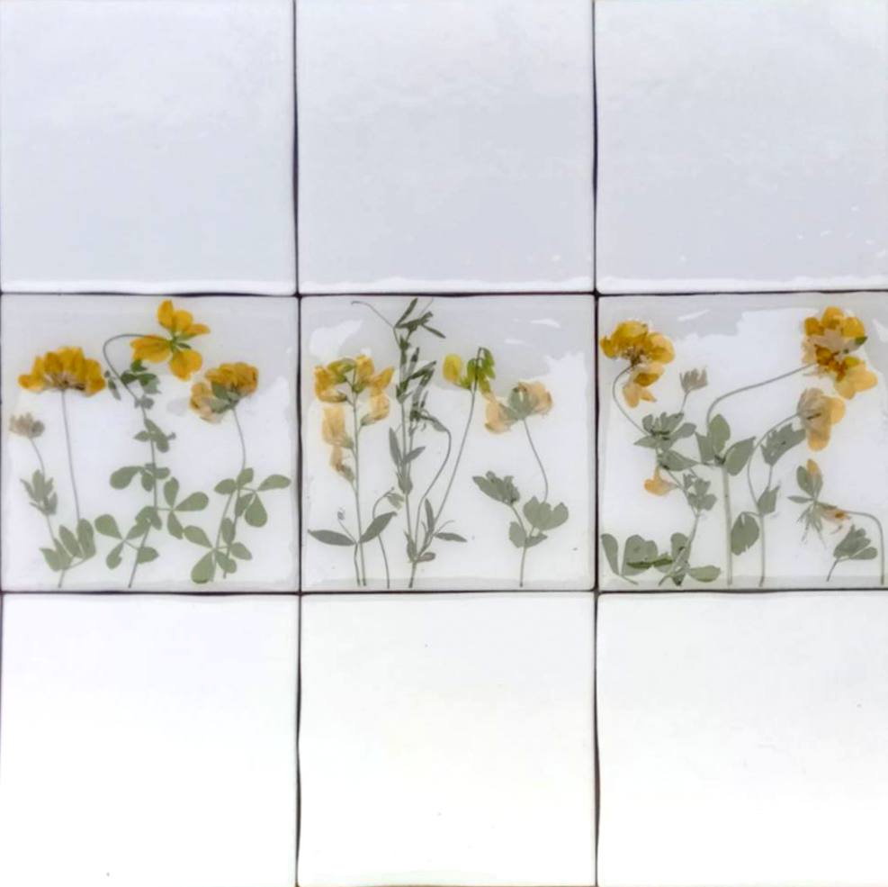 Carreaux d'herbier avec de vraies plantes sèches. Collection Spring Meadow, crédence de cuisine, carrelage de salle de bain, art mural, art naturel, carreaux de base en céramique.