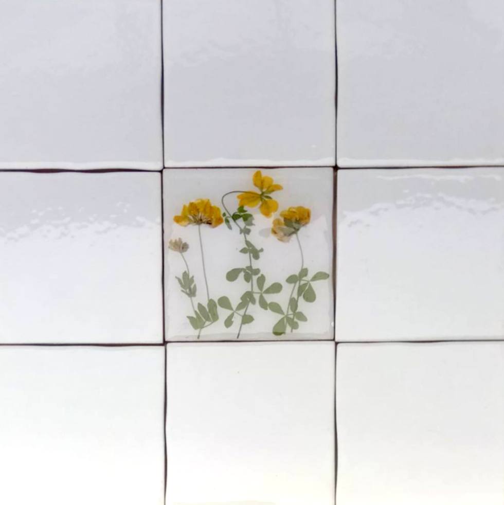 Carreaux d'herbier avec de vraies plantes sèches. Collection Spring Meadow, crédence de cuisine, carrelage de salle de bain, art mural, art naturel, carreaux de base en céramique.