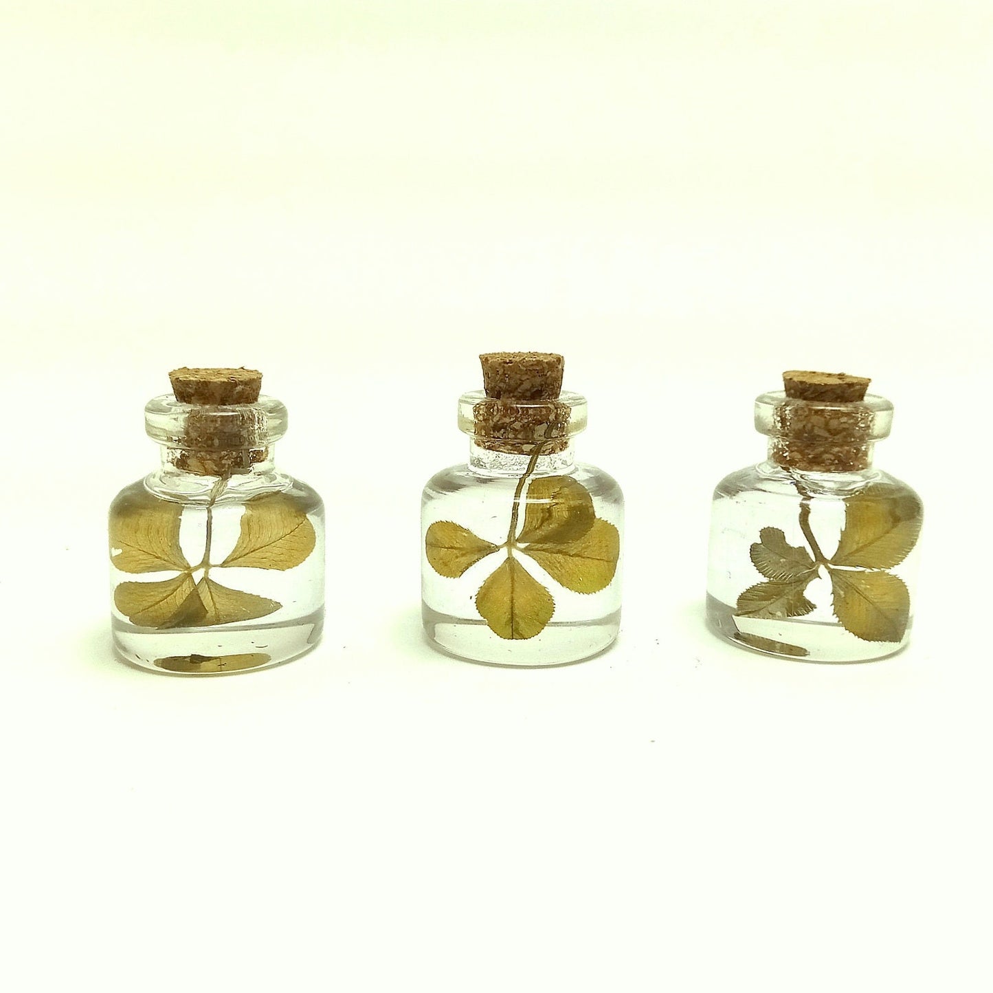 Real clover lucky charm good fortune gift for her gift for him genuine four leaf clover mini bottle St. Patricks day irish shamrock amulet