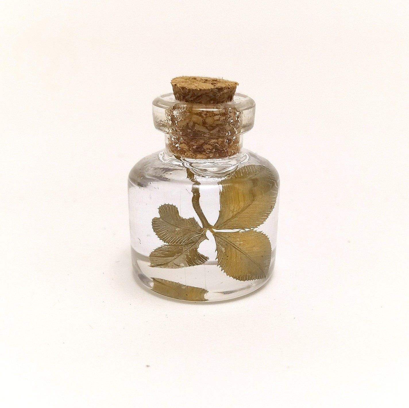 Real clover lucky charm good fortune gift for her gift for him genuine four leaf clover mini bottle St. Patricks day irish shamrock amulet