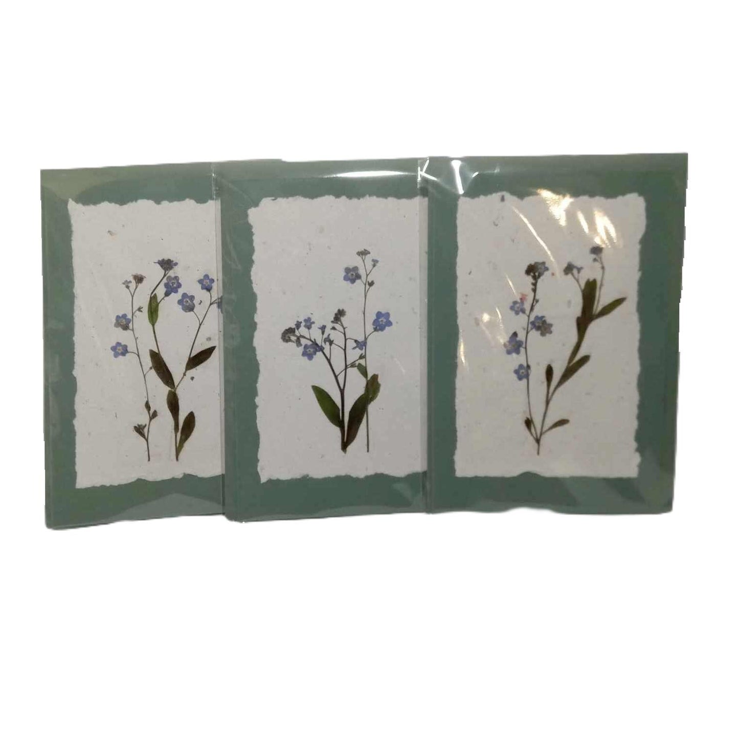 Dry Pressed Wild Flowers Botanical Card Handmade paper Herbarium Art with Envelope - Forget me not