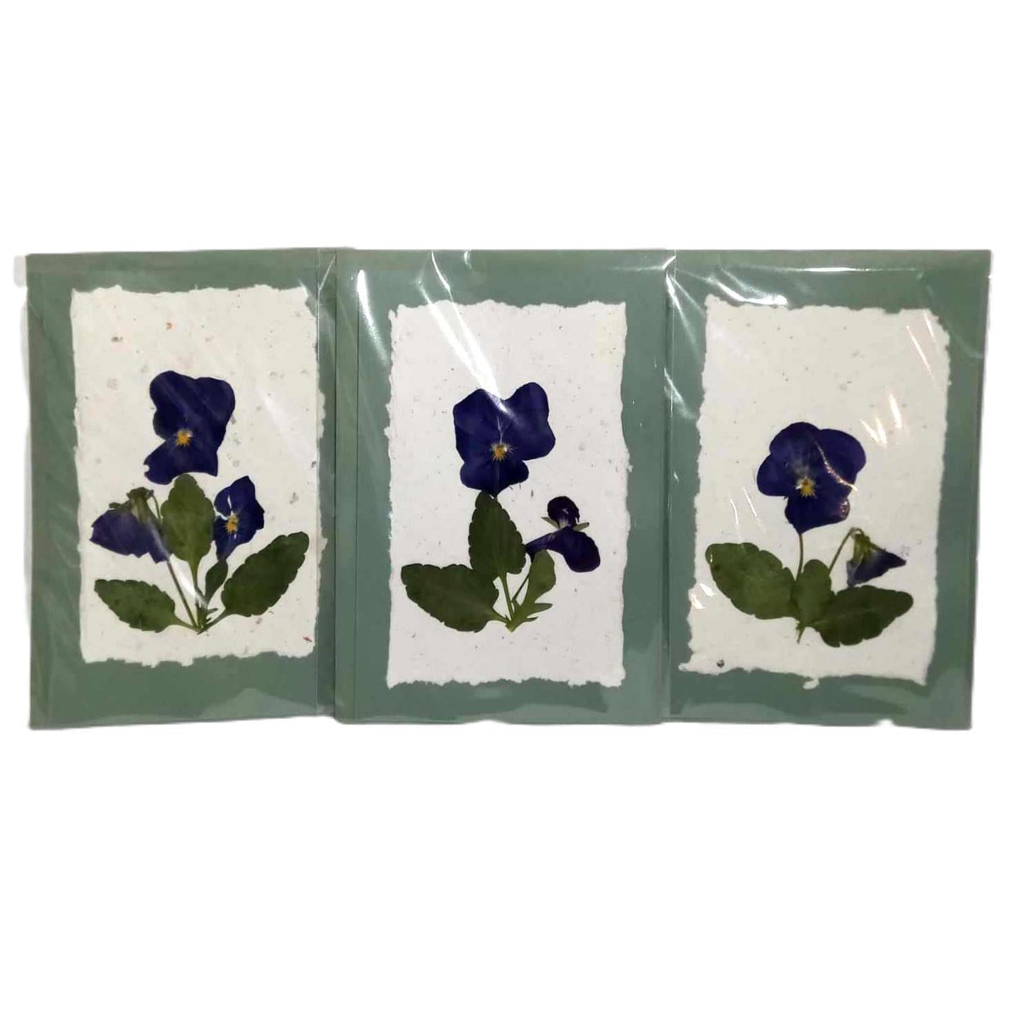 Handmade paper Pressed Wild Flowers Botanical Card Herbarium Art with Envelope Wild Pansy