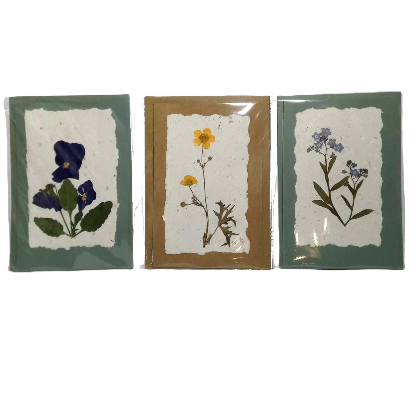 Dry Pressed Wild Flowers Botanical Card Handmade paper Herbarium Art with Envelope - Violets /natural