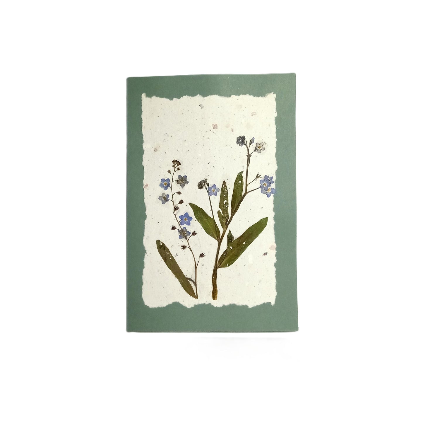 Dry Pressed Wild Flowers Botanical Card Handmade paper Herbarium Art with Envelope - Forget me not