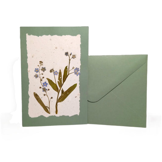Dry Pressed Wild Flowers Botanical Card Handmade paper Herbarium Art with Envelope - Forget me not
