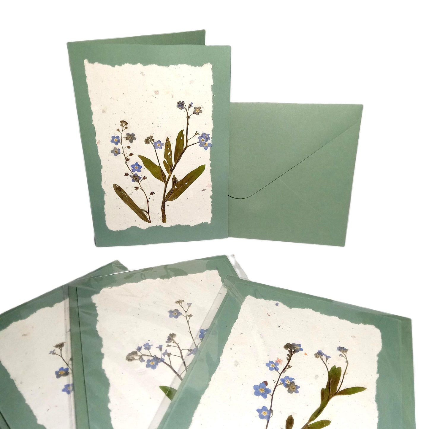 Dry Pressed Wild Flowers Botanical Card Handmade paper Herbarium Art with Envelope - Forget me not