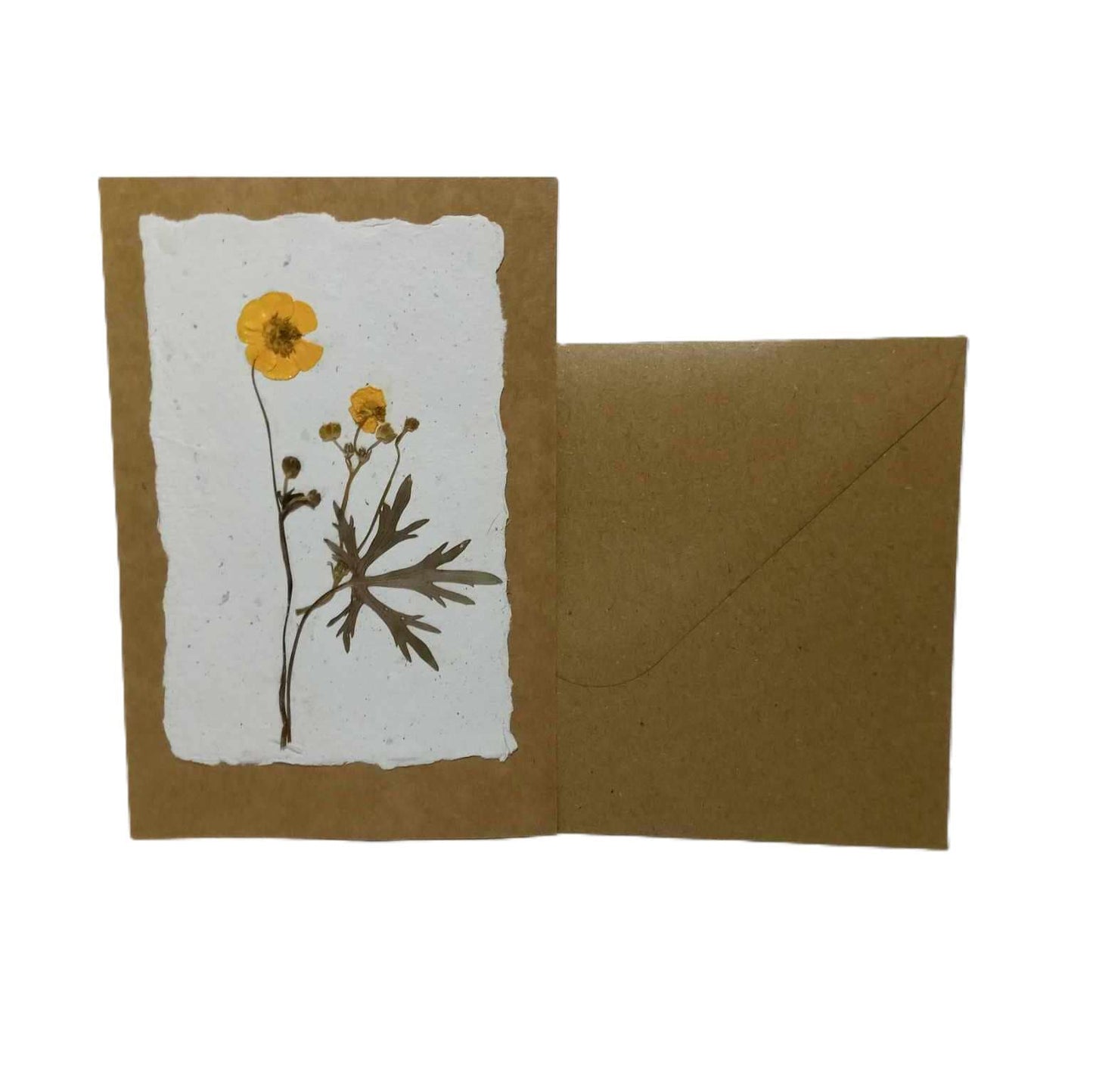 Dry Pressed Wild Flowers Botanical Card Handmade paper Herbarium Art with Envelope - Meadow Buttercup
