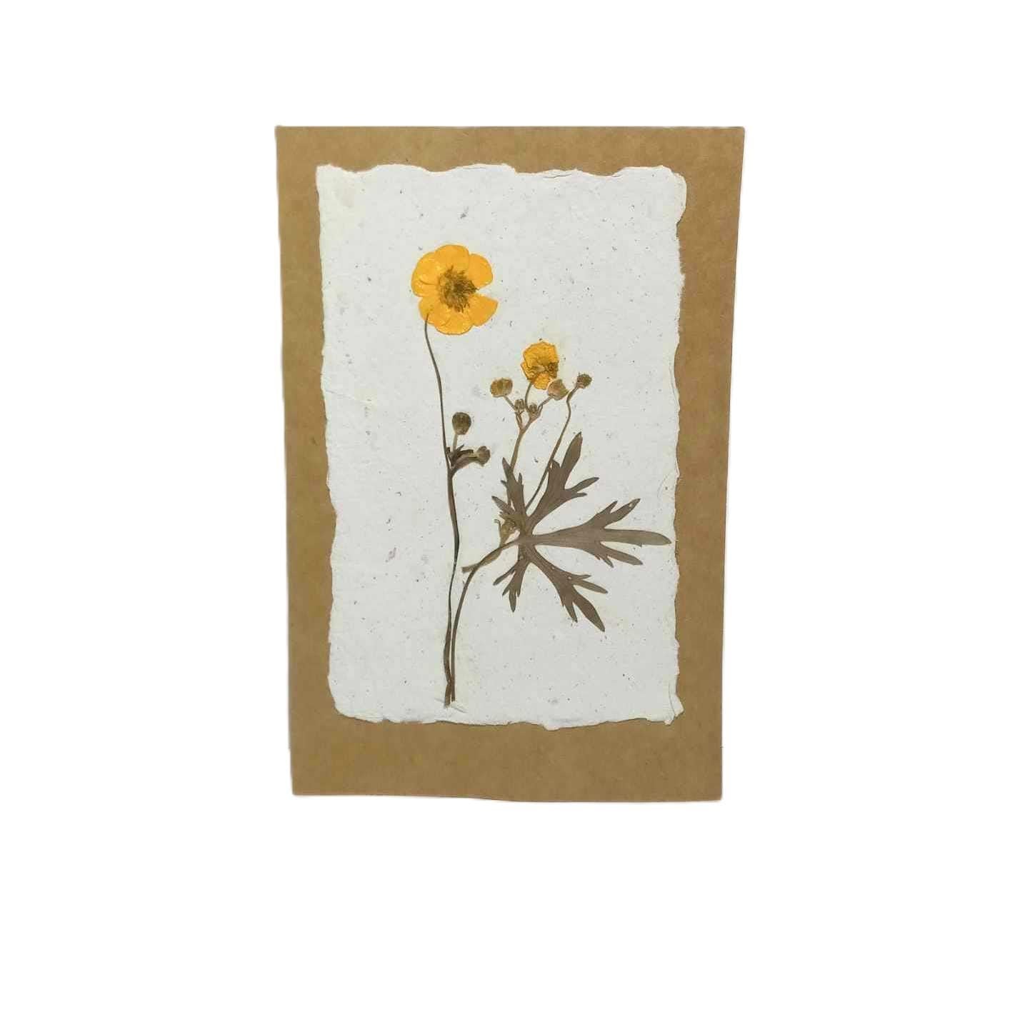 Dry Pressed Wild Flowers Botanical Card Handmade paper Herbarium Art with Envelope - Meadow Buttercup